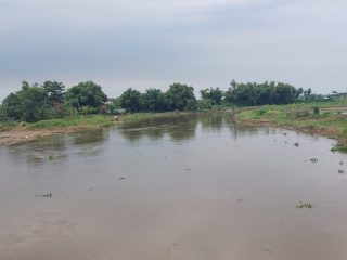 Sungai Juwana Terus Mengalami Pendangkalan